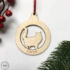 Laser Cut birch ornament Fluffy Cat with Name