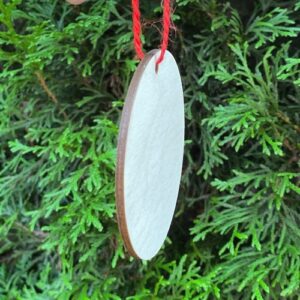 Side view of a Birch Ply ornament showing its thickness.